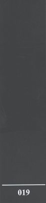 019